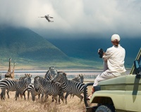 Chọn du lịch hoang dã có trách nhiệm để bảo tồn sinh thái