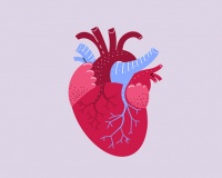 Tăng huyết áp và hở van tim nên điều trị thế nào?