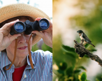 Ngắm chim: Liều thuốc tự nhiên chống lão hóa não