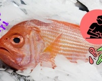Độc tố ẩn mình trong các loài cá biển