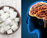 Não bộ thay đổi ra sao sau 1 tháng không ăn đường bổ sung?