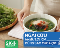 Podcast: Ngải cứu nhiều lợi ích, dùng sao cho hợp lý?