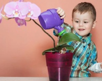 Khi con quá nhạy cảm: 4 dấu hiệu cha mẹ cần để ý