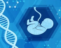 Khi y học bào thai viết tiếp sự sống