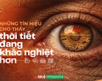 Những tín hiệu cho thấy thời tiết đang khắc nghiệt hơn