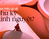 Bạn hiểu gì về chu kỳ kinh nguyệt?