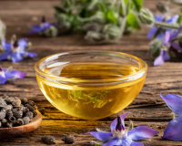 Cây lưu ly: Chứa thành phần hỗ trợ cải thiện da khô