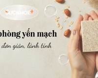 Infographic: Cách làm xà phòng yến mạch đơn giản tại nhà
