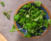 Loại rau được ca ngợi “tốt nhất thế giới”, bán đầy ở chợ Việt