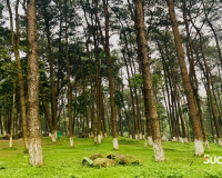 Điểm đến “tránh nóng” cho kỳ nghỉ ngắn ngày tại Hà Nội