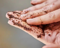 4 mẹo tận dụng bã cà phê dễ áp dụng