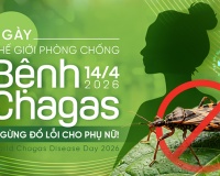 Bệnh Chagas: Ngừng đổ lỗi cho phụ nữ!