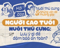 Người cao tuổi nuôi thú cưng: Lưu ý gì để đảm bảo an toàn?