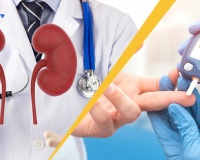 Người bệnh đái tháo đường bị suy thận dùng TPBVSK Hộ Tạng Đường được không?