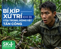 Podcast: Bí kíp xử trí khi bị côn trùng, động vật tấn công
