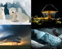 Những bức ảnh ấn tượng nhất Giải thưởng Nhiếp ảnh Sony năm 2026