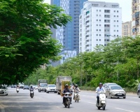 Bắc Bộ ngày nắng nóng, chiều tối mưa vài nơi
