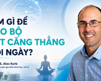 Làm gì để não bộ bớt căng thẳng mỗi ngày?
