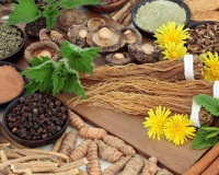 Thảo dược adaptogen hỗ trợ cơ thể ứng phó với căng thẳng