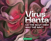 Virus Hanta có thể nguy hiểm như thế nào?