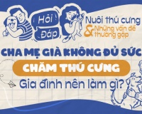 Cha mẹ già không đủ sức chăm thú cưng, gia đình nên làm gì?