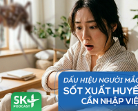 Podcast: Dấu hiệu người mắc sốt xuất huyết cần nhập viện