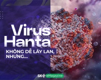 Virus Hanta không dễ lây lan, nhưng…