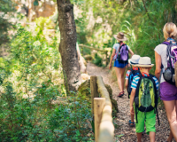 Khám phá 5 lợi ích vượt trội của bộ môn hiking 