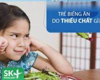 Podcast: Trẻ biếng ăn do thiếu chất gì?