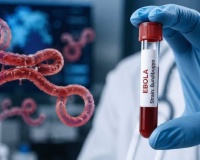Biết gì về virus Bundibugyo có liên quan đến dịch Ebola?