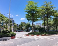 Cuối tuần nền nhiệt miền Bắc tăng trở lại, có nơi nắng nóng
