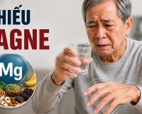 Thiếu magne ảnh hưởng thế nào đến hệ thần kinh?