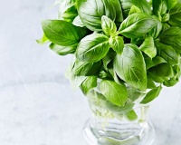 3 loại rau củ không nên cho vào tủ lạnh