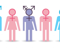 Hormone liệu có quyết định xu hướng tình dục?