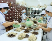 Xây dựng thương hiệu quốc gia cho Y học cổ truyền Việt Nam