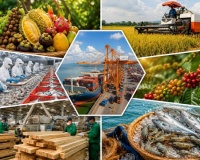 Bộ Y tế hướng dẫn kiểm tra nhà nước về an toàn thực phẩm nhập khẩu