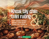 Khoai tây chín trên ruộng & Đợt nắng nóng đang càn quét Châu Âu, Châu Á