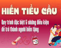 Hiến tiểu cầu: Quy trình đặc biệt và điều kiện để trở thành người hiến tặng