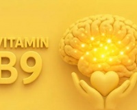 Mệt mỏi, hay quên có phải thiếu hụt vitamin B9?