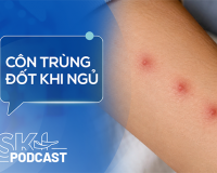 Podcast: Sai lầm cần tránh khi bị côn trùng lạ đốt khi ngủ