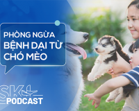 Podcast: Không chủ quan với bệnh dại từ chó, mèo nhà