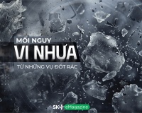 Mối nguy vi nhựa từ những vụ đốt rác