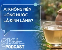 Podcast: Ai không nên uống nước lá đinh lăng?