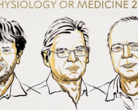 Nobel Y sinh 2026: Vinh danh 3 nhà khoa học dùng ánh sáng 'giải mã' não bộ