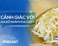 Podcast: Giá đỗ ngâm hóa chất nguy hiểm thế nào?