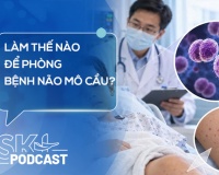 Podcast: Làm thế nào để phòng bệnh não mô cầu?
