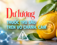 Nguy cơ từ dư lượng thuốc trừ sâu trên vỏ chanh, cam