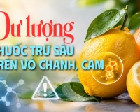 Nguy cơ từ dư lượng thuốc trừ sâu trên vỏ chanh, cam