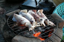 'Ăn Cửa Hội, lội Cửa Lò'…
