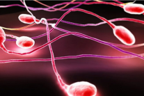 Xuất hiện máu trong tinh dịch liệu có nguy hiểm?